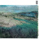 Branko - Obg Branko - Obg