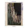 John Moreland - Birds In The Ceiling (Blue) John Moreland - Birds In The Ceiling (Blue)