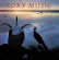 Roxy Music - Avalon (Vinyl) Roxy Music - Avalon (Vinyl)