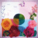 Zenizen - P.O.C (Proof Of Concept) Zenizen - P.O.C (Proof Of Concept)
