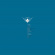 Blandade Artister - Cocoon Compilation T Blandade Artister - Cocoon Compilation T