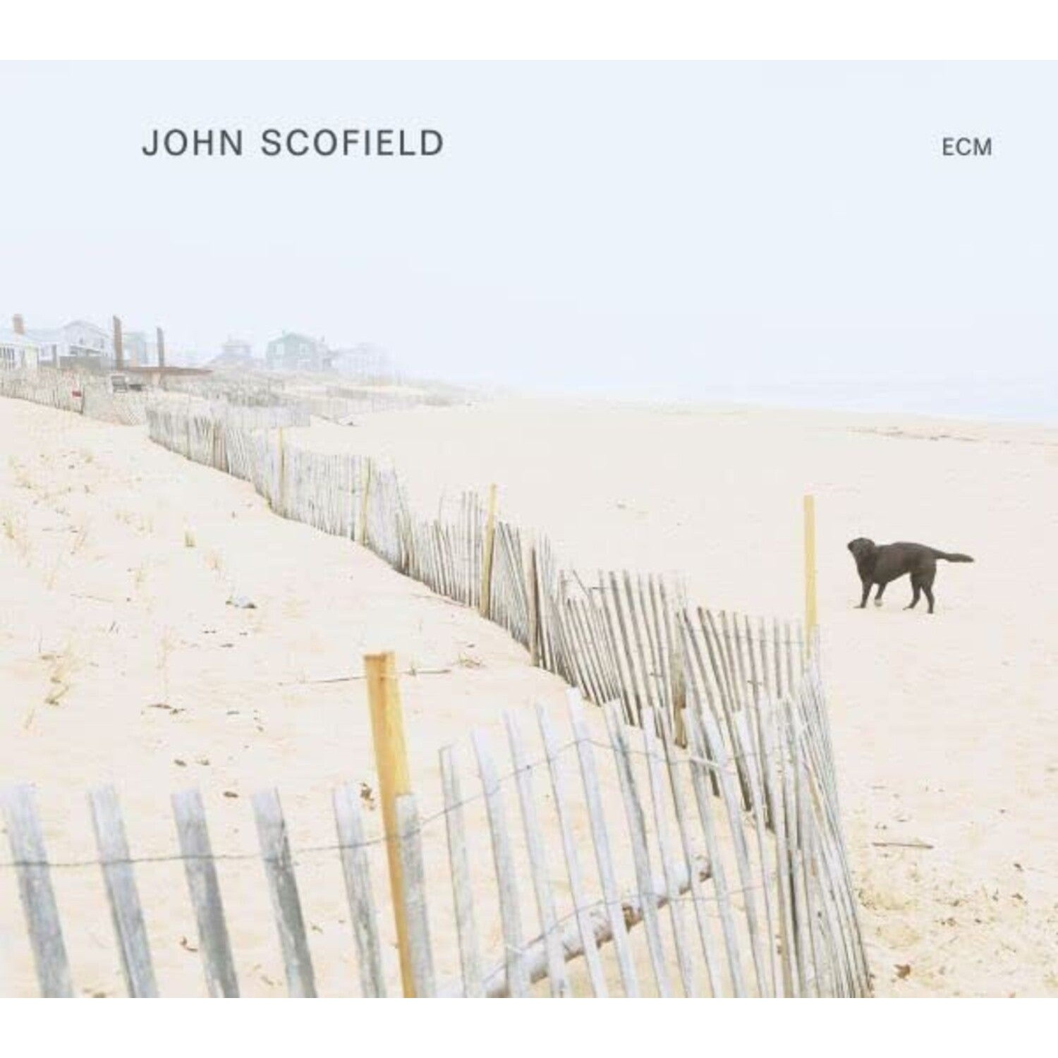 John Scofield - John Scofield (Solo Album)