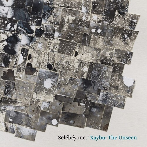Lehman Steve / Selebeyone - Xaybu: The Unseen