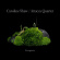 Caroline Shaw & Attacca Quarte - Caroline Shaw: Evergreen Caroline Shaw & Attacca Quarte - Caroline Shaw: Evergreen