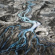 Anachronism - Meanders Anachronism - Meanders