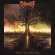 Chronicle - Where Chaos Thrives Chronicle - Where Chaos Thrives