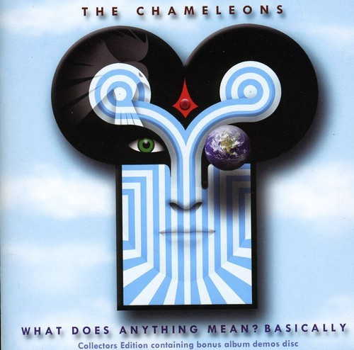 The Chameleons - What Does Anything Mean? Basically