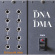 David M. Allen - Dna David M. Allen - Dna