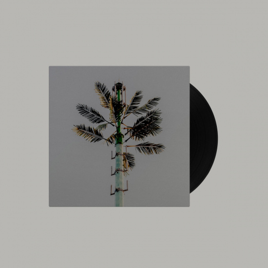 Dj Balduin - Concrete Mimosa