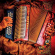Conjunto Media Luna - Noches De Media Luna Conjunto Media Luna - Noches De Media Luna