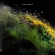 Tinlicker - This Is Not Our Universe (Clear Vin Tinlicker - This Is Not Our Universe (Clear Vin