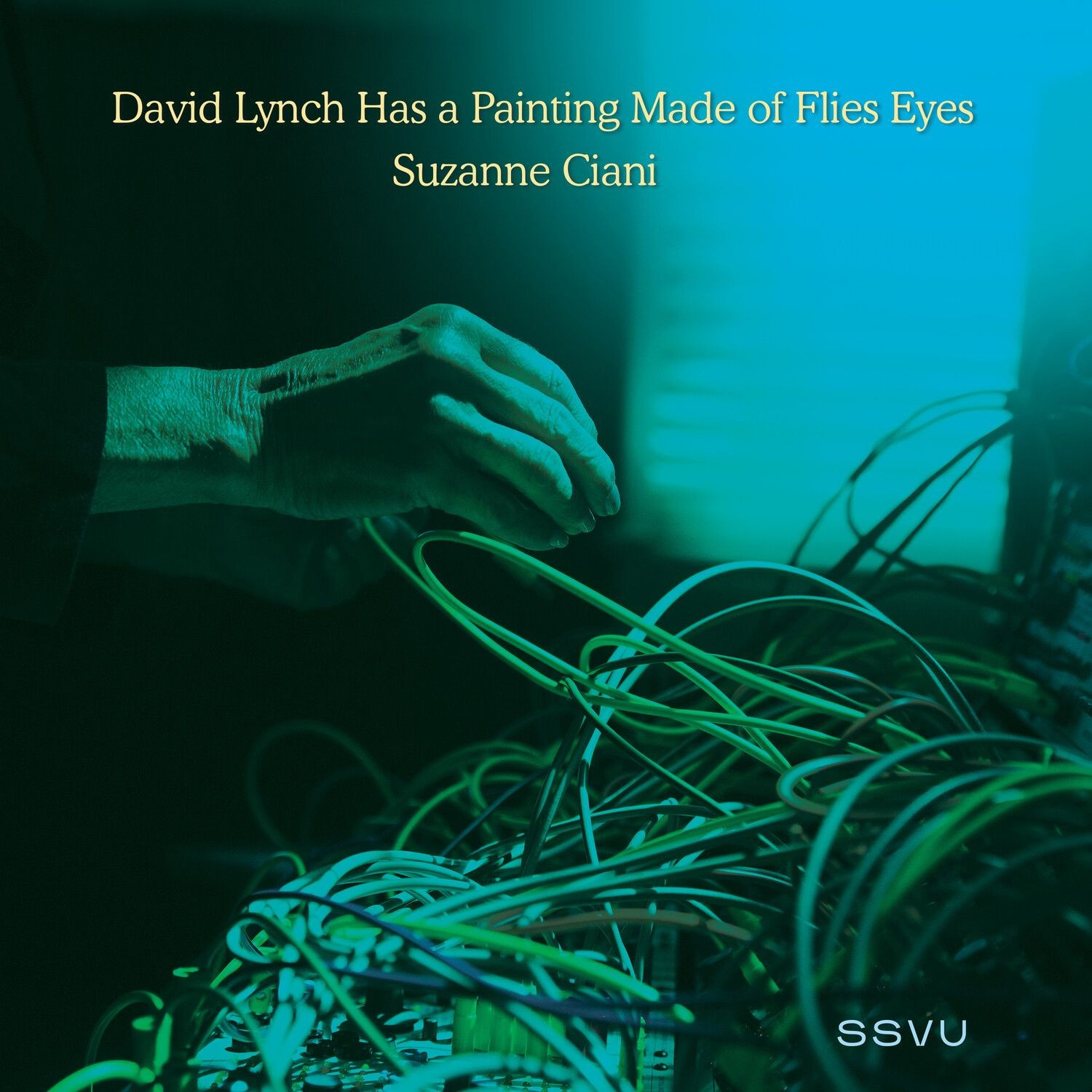 SSVU - David Lynch Has a Painting Made of Flies Eyes