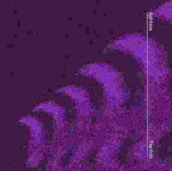 Spiritbox - The Fear Of Fear