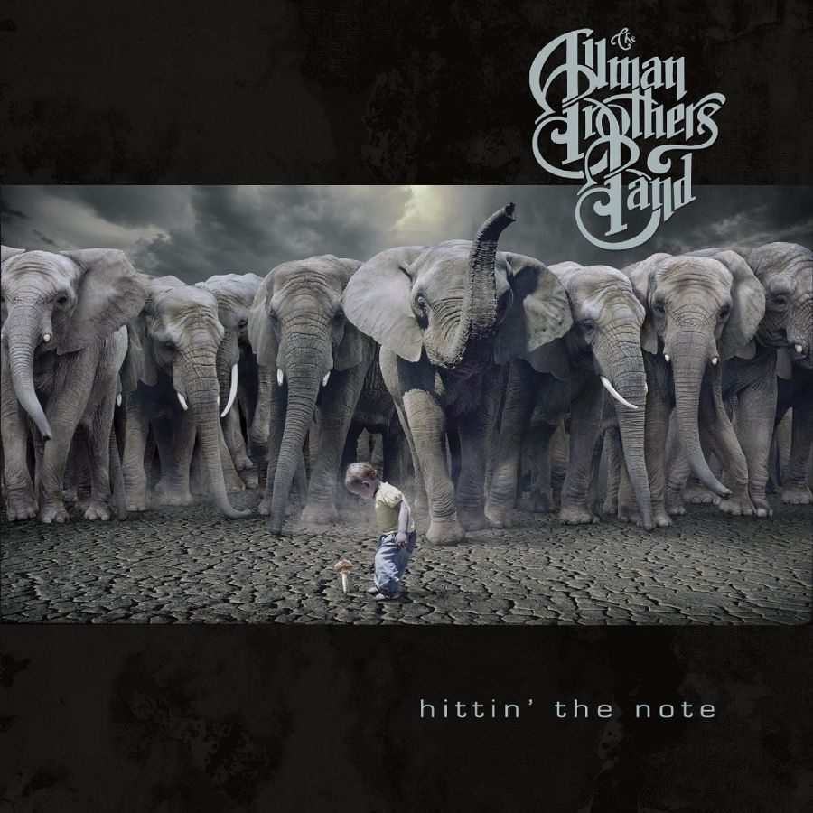 Allman Brothers Band The - Hittin' The Note