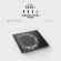 The Rose - (DUAL) (Jewel Case Album Dusk Ver.) The Rose - (DUAL) (Jewel Case Album Dusk Ver.)