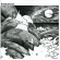 The Bluetones - The Bluetones The Bluetones - The Bluetones