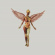 Nirvana - In Utero (Box Vinyl Super Deluxe) Nirvana - In Utero (Box Vinyl Super Deluxe)