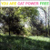 Cat Power - You Are Free Cat Power - You Are Free