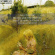 Franz Schubert - String Quartets 10 & 14 Franz Schubert - String Quartets 10 & 14