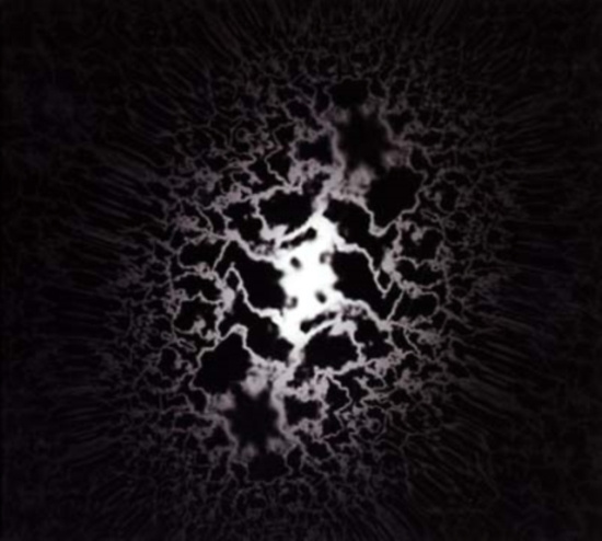 Trad Gras Och Stenar - Homeless Cats