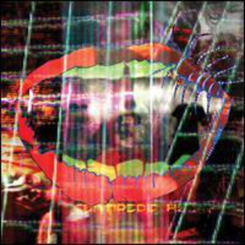 Animal Collective - Centipede Hz