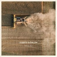 Svante Sjöblom - Telling Lies