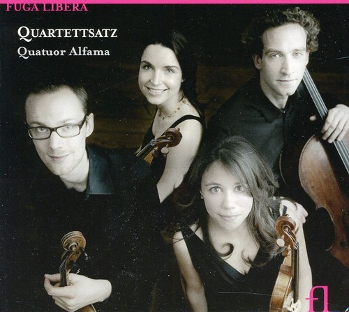 Various - Quartettsatz