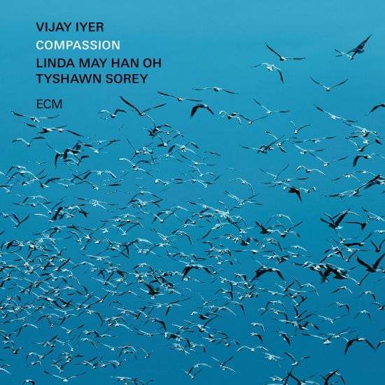 Vijay Iyer W. Linda May Han Oh & Ty - Compassion