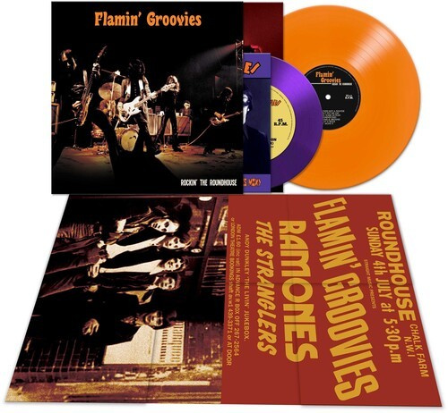 The Flamin' Groovies - Rockin' The Roundhouse