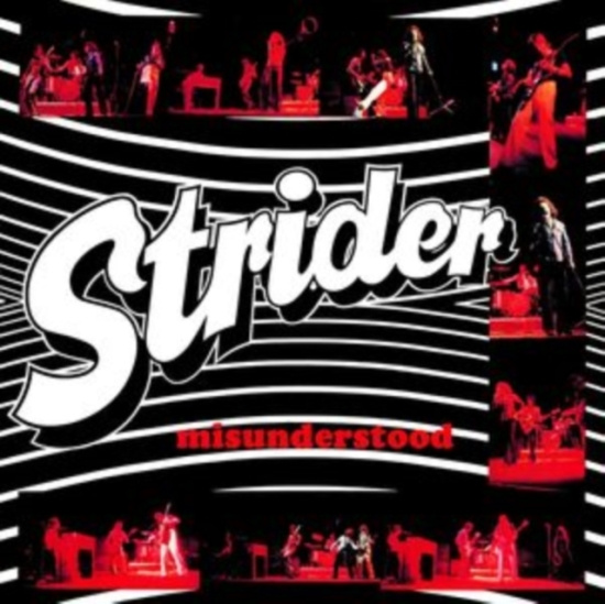 Strider - Misunderstood