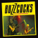 Buzzcocks - Live At The Shepherds Bush Empire ( Buzzcocks - Live At The Shepherds Bush Empire (