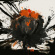 Daniel Avery - Wonderland / Running Daniel Avery - Wonderland / Running