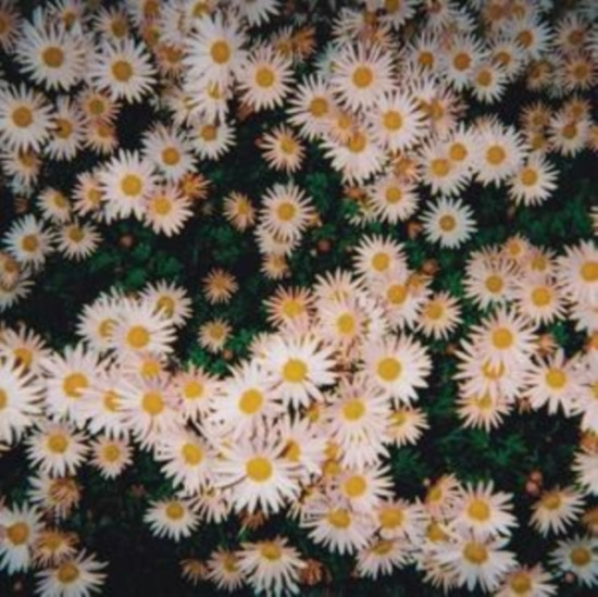 Bad Bad Hats - Bad Bad Hats (Pink Vinyl)