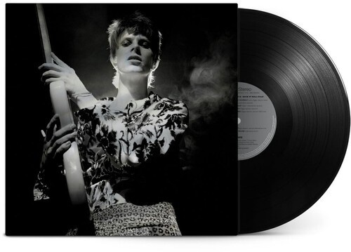 David Bowie - Rock N Roll Star! (Lp)