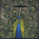 The Bluetones - Expecting To Fly The Bluetones - Expecting To Fly