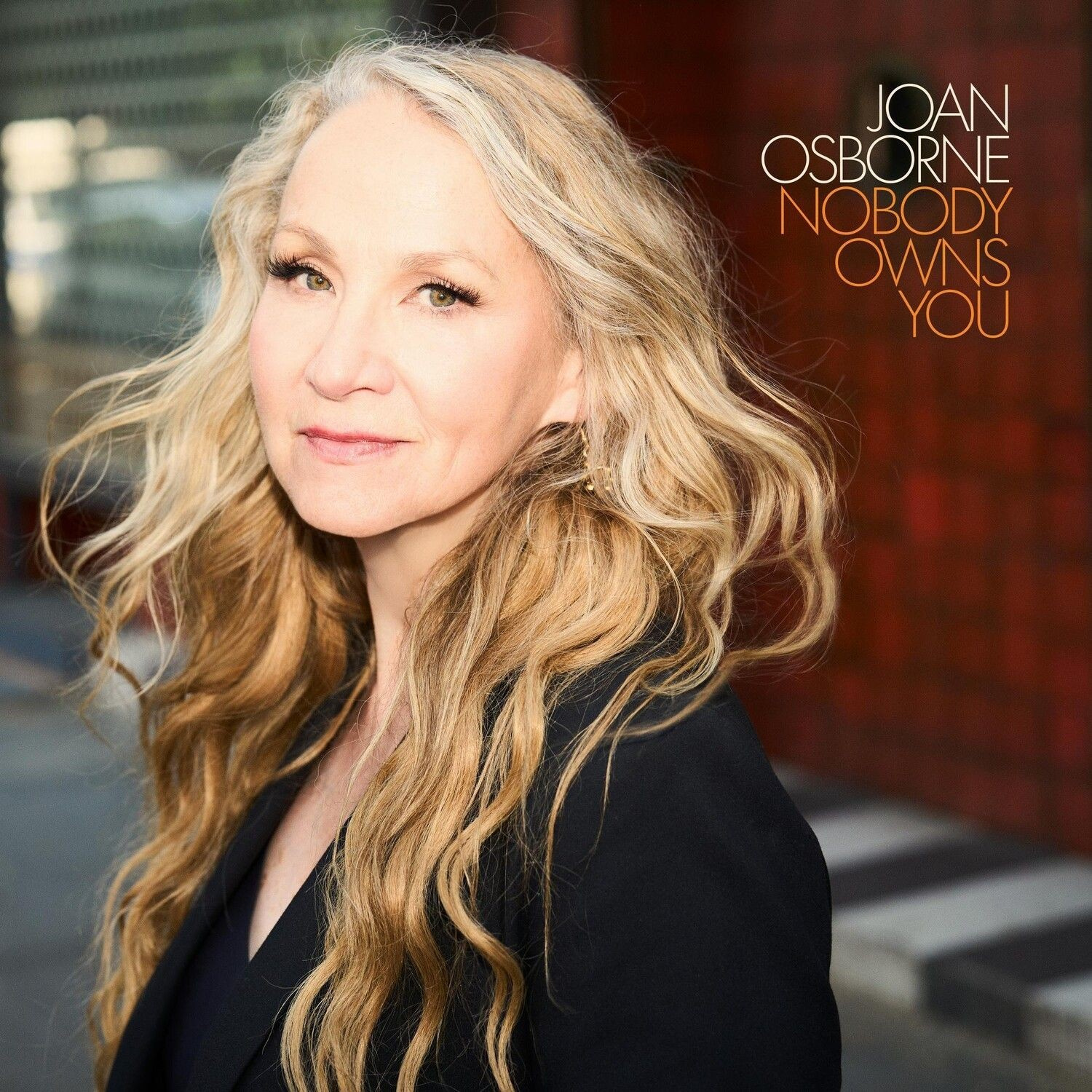 Joan Osborne - Nobody Ownes You