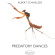 Albert Schnelzer - Predatory Dances Albert Schnelzer - Predatory Dances