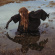 Death And The Maiden - Uneven Ground Death And The Maiden - Uneven Ground