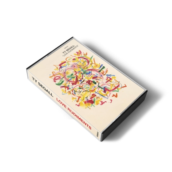 Ty Segall - Love Rudiments