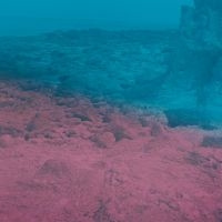 Matti Bye - Capri Clouds (Clear Vinyl)