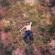 Maverick Sabre - Burn The Right Things Down Maverick Sabre - Burn The Right Things Down