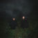 O'o - Songs Of Wishes And Bones O'o - Songs Of Wishes And Bones