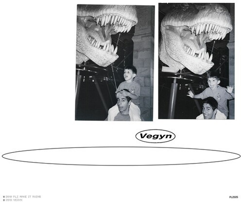 Vegyn - Only Diamonds Cut Diamonds (5 Year