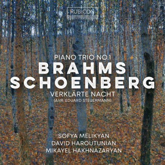 Sofya Melikyan & David Haroutunian & Mikayel Hakhnazaryan - Brahms: Piano Trio No. 1 - Schoenberg: Verklärte Nacht (Arr. Eduard Steuermann)