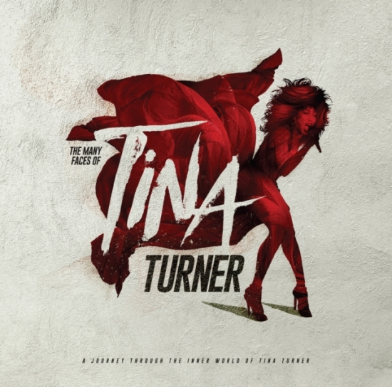 Various Artists - Many Faces Of Tina Turner The (2 Lp