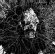 Concrete Caveman - War Under Glass Concrete Caveman - War Under Glass