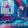 Various Artists - Young And Wild - A Decade Of Americ Various Artists - Young And Wild - A Decade Of Americ