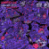 Laura Jane Grace - Adventure Club Laura Jane Grace - Adventure Club