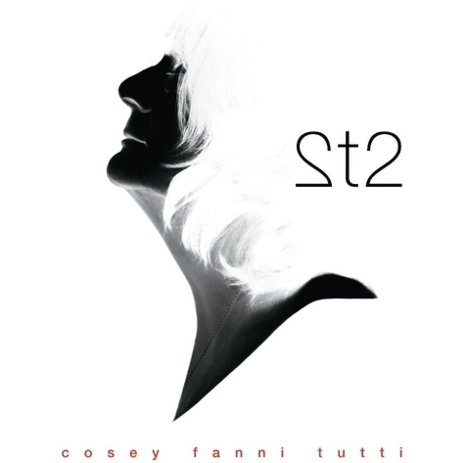 Cosey Fanni Tutti - 2T2