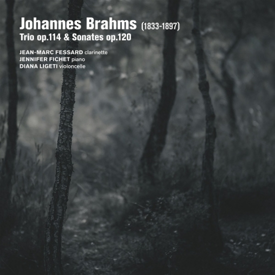 Jean-Marc Fessard & Jennifer Fichet & Diana Ligeti - Brahms: Trio Op. 114 Sonates Op. 120